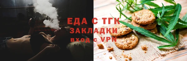 индика Верхний Тагил