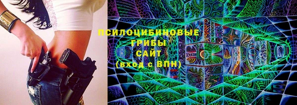 индика Верхний Тагил