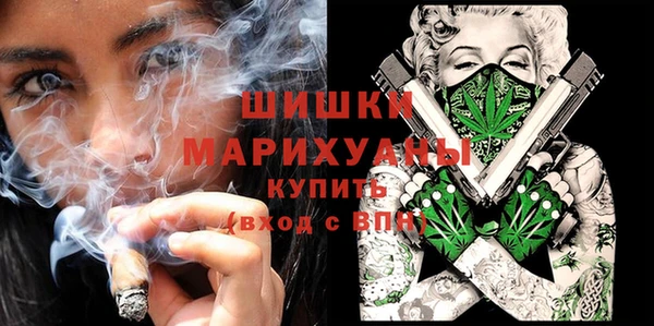 индика Верхний Тагил