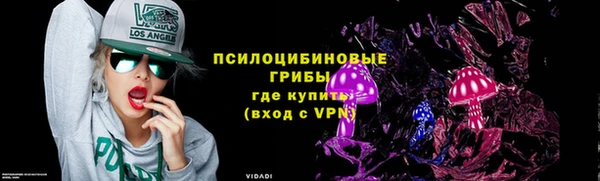 spice Володарск