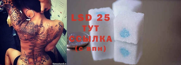 шишки Бородино