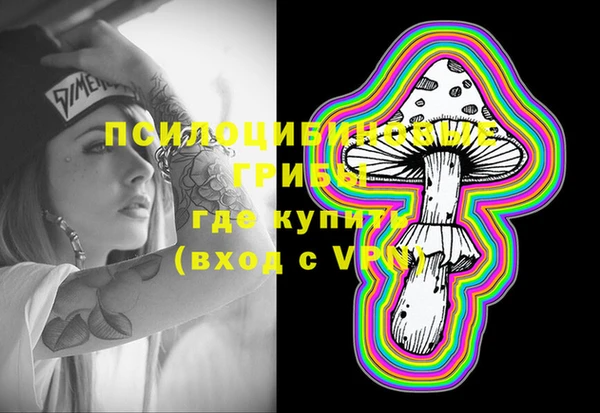 индика Верхний Тагил