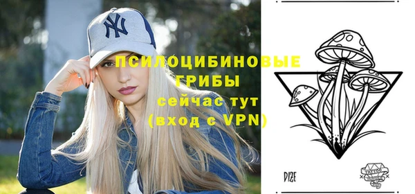 мдпв Бугульма