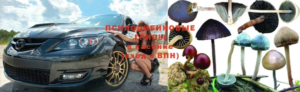 шишки Бородино